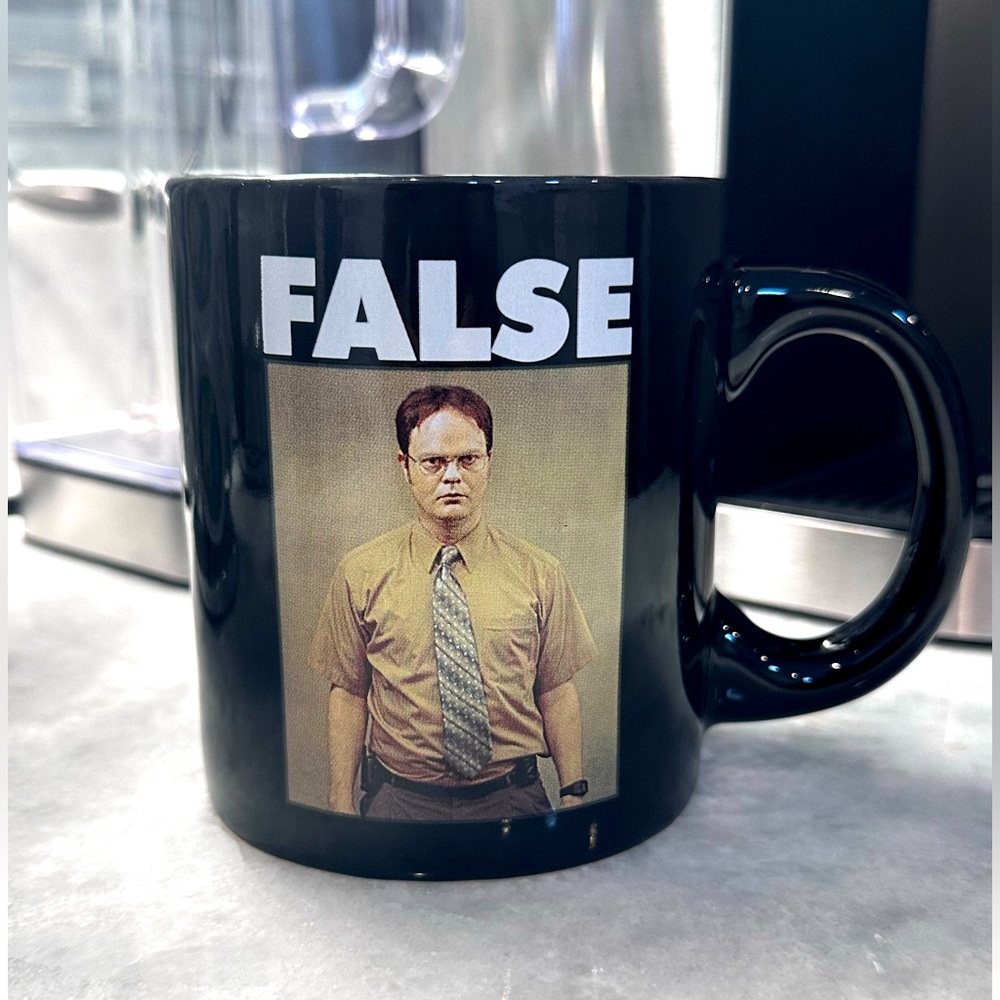 Dwight Schrute FALSE The Office Mug - 20oz / Like New
